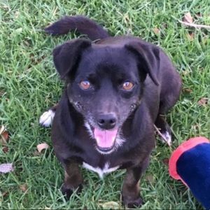 Meet your Posher, Jorge